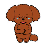 鉄ちゃん